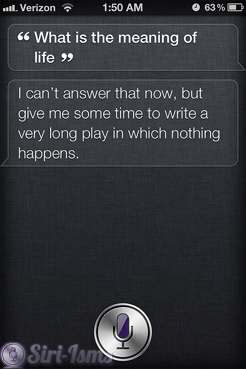 What Is The Meaning Of Life Siri isms Siri Quotes
